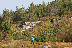 skog_l.jpg skog_l.jpg
