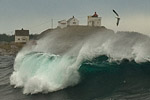 20081026_7670_flukt_liten.jpg 20081026_7670_flukt_liten.jpg