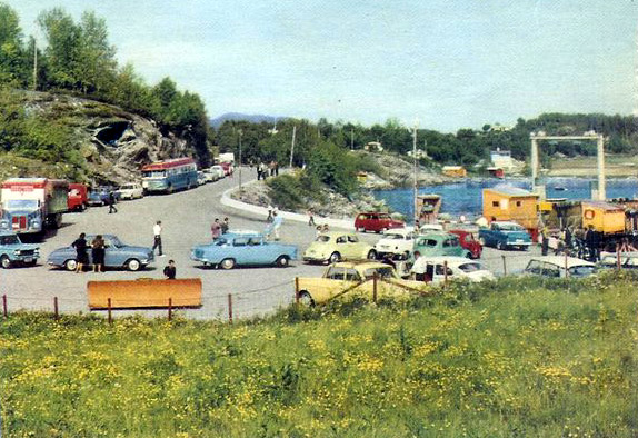kvitnes