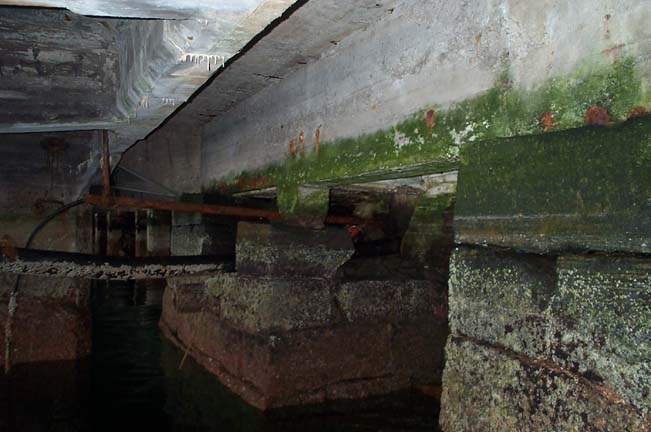 bo_under_kaia bo_under_kaia