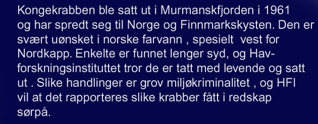 krabbe_Bn_8