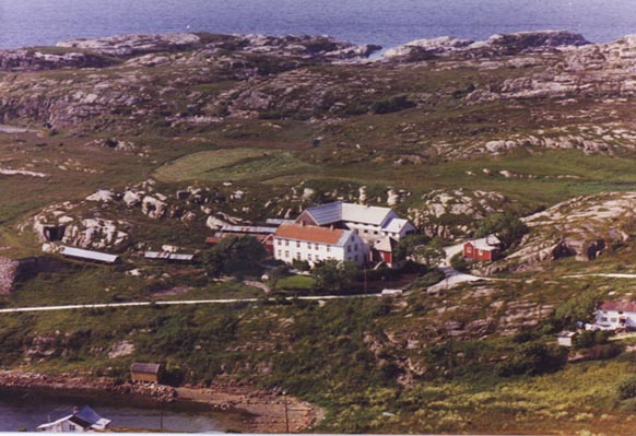 1962bukta 1962bukta