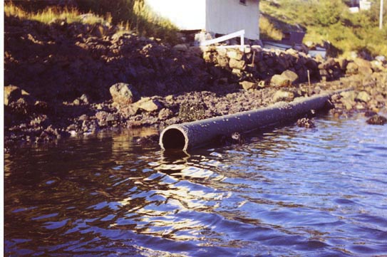 kloakk201bukta kloakk201bukta