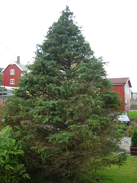 dscn1502 dscn1502