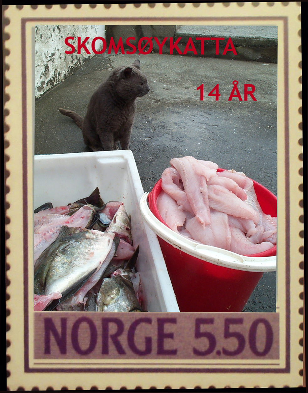 katt_frimerke katt_frimerke