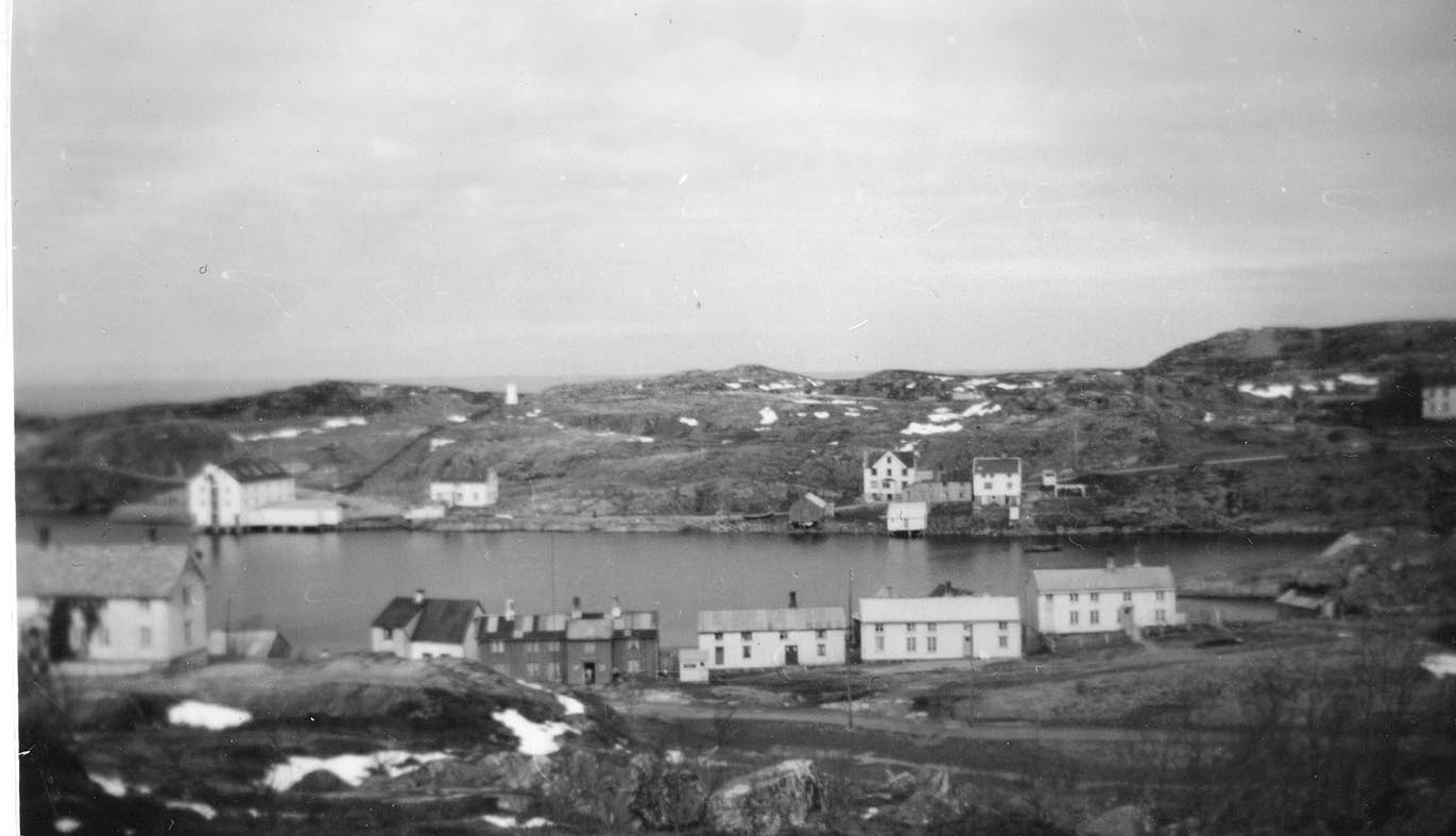 1950_bn 1950_bn
